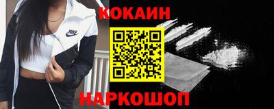 гидра Будённовск