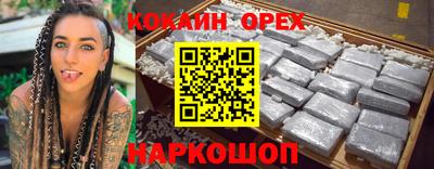 гидра Будённовск