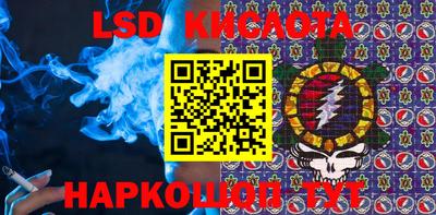гидра Будённовск