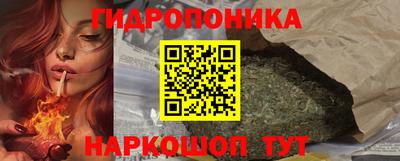 гидра Будённовск