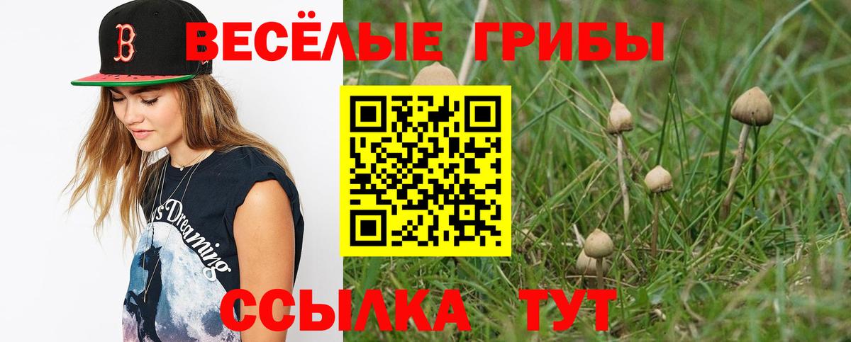 Галлюциногенные грибы Cubensis Электросталь